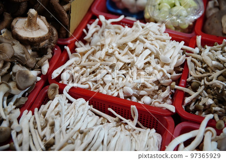 Mushroom Mushroom 97365929