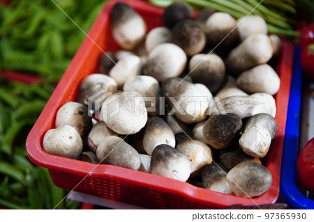 Mushroom Mushroom 97365930