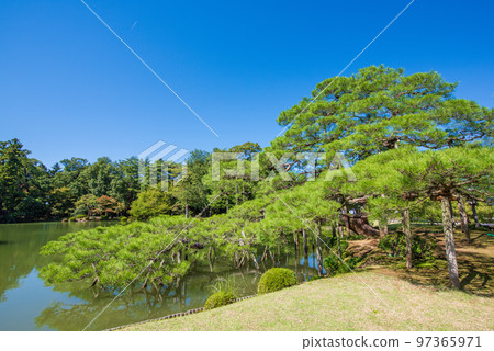 金澤市兼六園唐崎松 金澤市兼六園唐崎松 97365971
