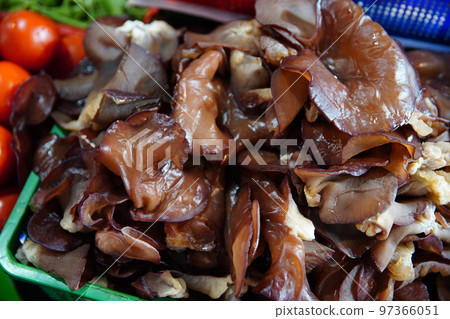 黑木耳 黑木耳 97366051