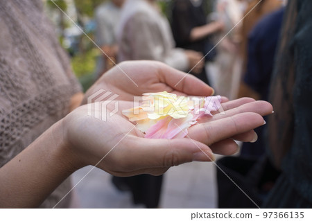 節日花瓣 97366135