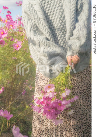 Woman with a bouquet of cosmos in the back Woman with a bouquet of cosmos in the back 97366136