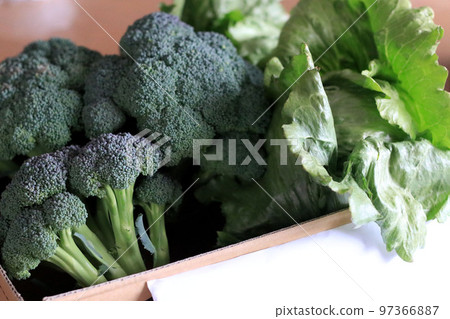Broccoli and lettuce in cardboard 97366887