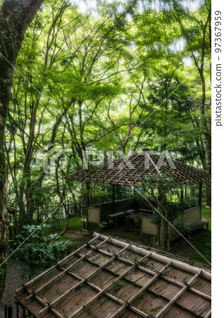 新鮮的綠色和陽光透過樹木為京都神護寺的休息區著色 97367959