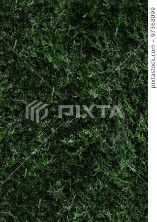 Natural background of green leaves in the park. Natural background of green leaves in the park. 97368099