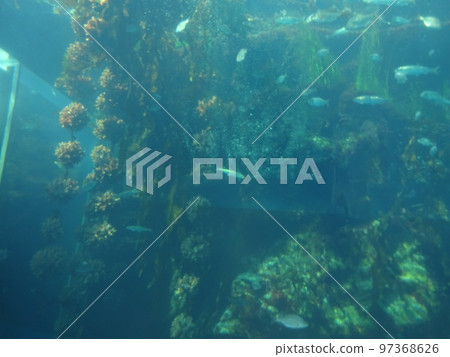 海藍寶石福島水箱遊覽 海藍寶石福島水箱遊覽 97368626