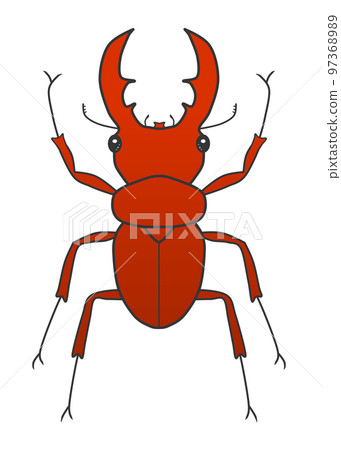 Stag beetle (brown) Stag beetle (brown) 97368989