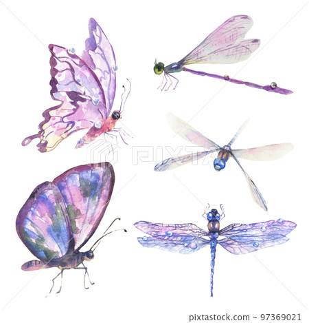 Watercolor set with Romantic Flying Dragonflies and Butterflies on white background. Watercolor set with Romantic Flying Dragonflies and Butterflies on white background. 97369021