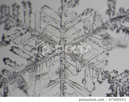 snowflakes extreme close-up of real crystal snowflake snowflakes extreme close-up of real crystal snowflake 97369541