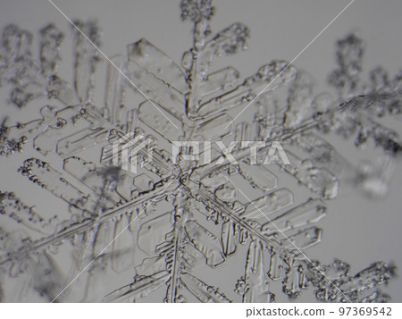 snowflakes extreme close-up of real crystal snowflake snowflakes extreme close-up of real crystal snowflake 97369542