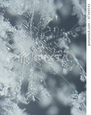 snowflakes extreme close-up of real crystal snowflake 97369543
