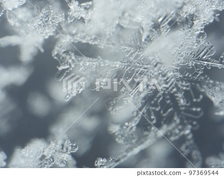 snowflakes extreme close-up of real crystal snowflake snowflakes extreme close-up of real crystal snowflake 97369544