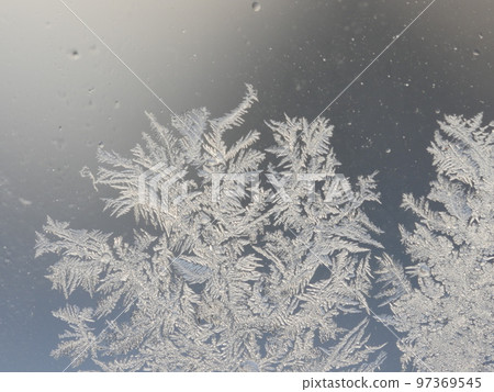 snowflakes extreme close-up of real crystal snowflake snowflakes extreme close-up of real crystal snowflake 97369545