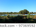 薩凡納河 97369592