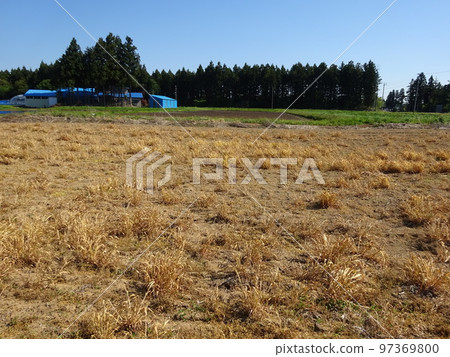 噴灑農藥後的田野 噴灑農藥後的田野 97369800