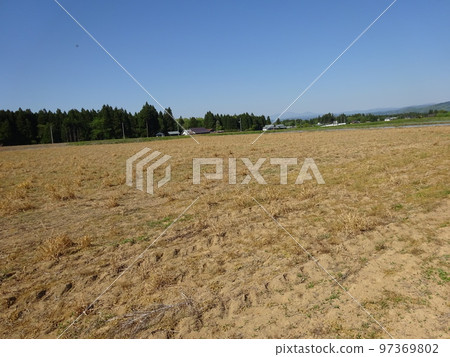 噴灑農藥後的田野 噴灑農藥後的田野 97369802