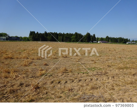 噴灑農藥後的田野 97369803