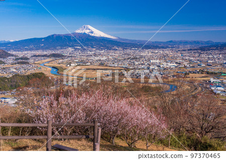（靜岡縣）伊豆冰森山的富士山，白梅盛開 97370465