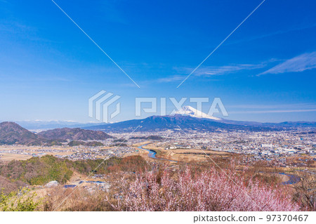 （靜岡縣）伊豆冰森山的富士山，白梅盛開 97370467