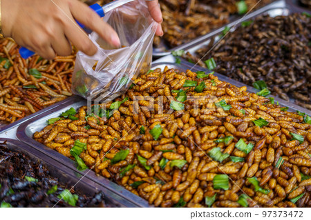 出售可食用昆蟲(例如毛毛蟲、巨型水蟲)的泰國攤位 出售可食用昆蟲(例如毛毛蟲、巨型水蟲)的泰國攤位 97373472