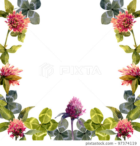 Watercolor illustration with pink flowers and large four leaf clovers isolated on white background. Plant composition with place for text. Square banner for social media posting. 97374119
