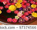 flower flower reflection 97374566