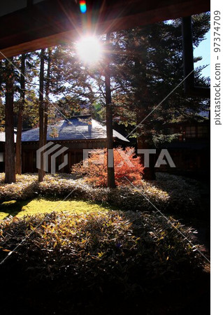 Japanese garden dyed red with autumn leaves Japanese garden dyed red with autumn leaves 97374709