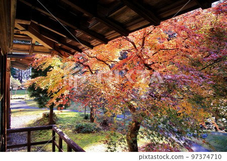被秋葉染成紅色的日本庭園 被秋葉染成紅色的日本庭園 97374710