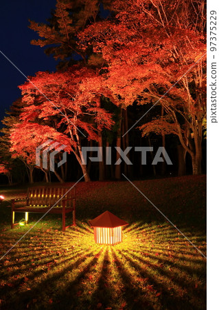 岩手縣遠野市遠野八幡宮在秋天點亮 岩手縣遠野市遠野八幡宮在秋天點亮 97375229
