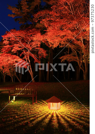 岩手縣遠野市遠野八幡宮在秋天點亮 岩手縣遠野市遠野八幡宮在秋天點亮 97375230