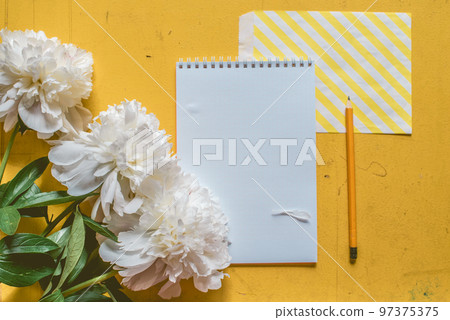 Lone beige white peony on old painted yellow wood grunge background texture for summer with notebook and pencil. Flat lay, top view with copy space Lone beige white peony on old painted yellow wood grunge background texture for summer with notebook and pencil. Flat lay, top view with copy space 97375375