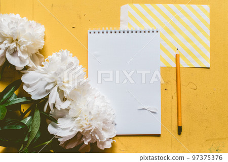 Lone beige white peony on old painted yellow wood grunge background texture for summer with notebook and pencil. Flat lay, top view with copy space Lone beige white peony on old painted yellow wood grunge background texture for summer with notebook and pencil. Flat lay, top view with copy space 97375376