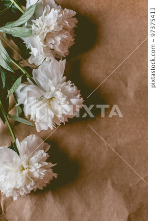 White peonies pattern on craft paper background with copy space, flat lay White peonies pattern on craft paper background with copy space, flat lay 97375411