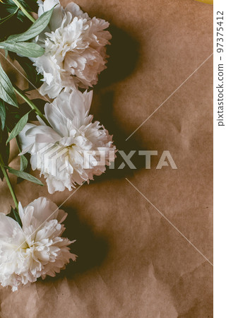 White peonies pattern on craft paper background with copy space, flat lay 97375412