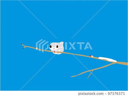 Ezo flying squirrel 01 blue sky 97376371