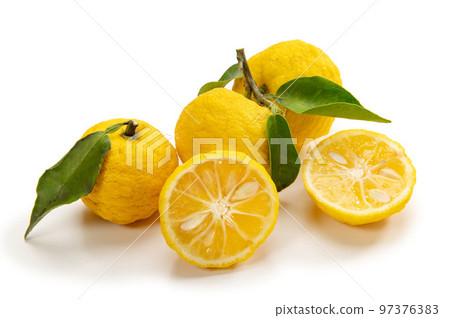 Japanese citrus fruit, Hanayuzu 97376383