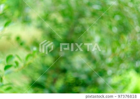 Unfocused green summer grass background defocusing, on a sunny summer day. Natural green plant grass background. Unfocused green summer grass background defocusing, on a sunny summer day. Natural green plant grass background. 97376818