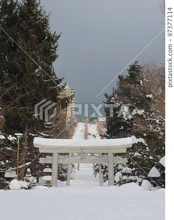 Sumiyoshi Shrine in the snow Sumiyoshi Shrine in the snow 97377114