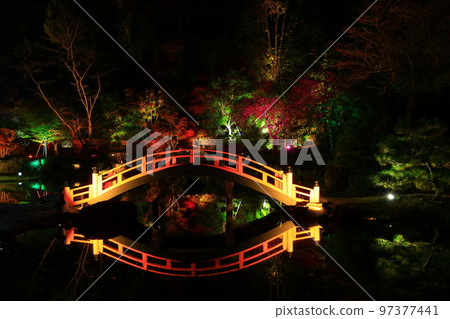 岩手縣奧州市江刺藤原之裡秋葉燈火通明 岩手縣奧州市江刺藤原之裡秋葉燈火通明 97377441