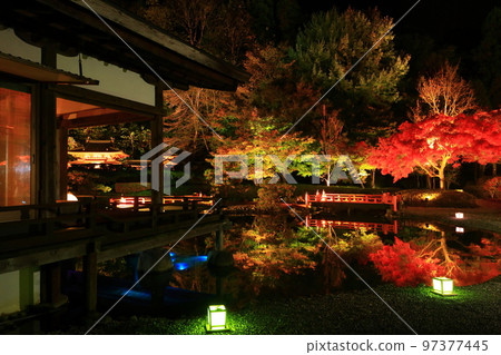 Oshu City, Iwate Prefecture Esashi Fujiwara no Sato Autumn Leaves Illuminated Oshu City, Iwate Prefecture Esashi Fujiwara no Sato Autumn Leaves Illuminated 97377445