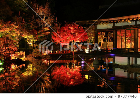 Oshu City, Iwate Prefecture Esashi Fujiwara no Sato Autumn Leaves Illuminated 97377446