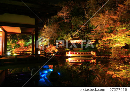 Oshu City, Iwate Prefecture Esashi Fujiwara no Sato Autumn Leaves Illuminated 97377456