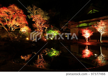 Oshu City, Iwate Prefecture Esashi Fujiwara no Sato Autumn Leaves Illuminated Oshu City, Iwate Prefecture Esashi Fujiwara no Sato Autumn Leaves Illuminated 97377466