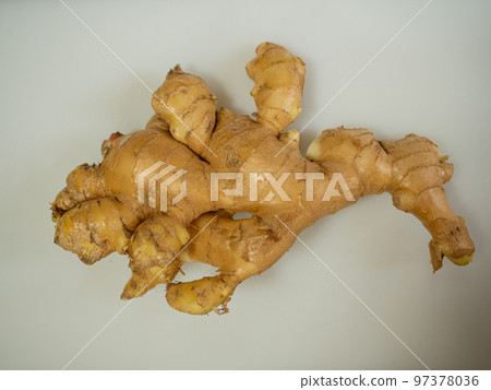 股票照片姜② 股票照片姜② 97378036