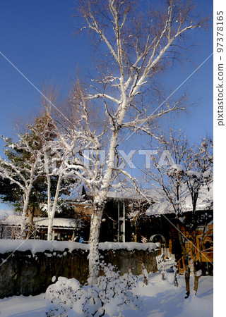 Winter news from Rokugo in the northern country of December Winter news from Rokugo in the northern country of December 97378165