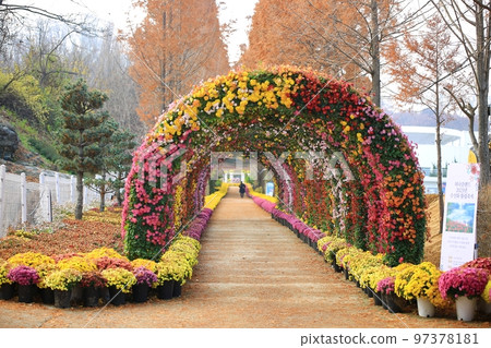 秋景、祭典、巔峰之地 97378181