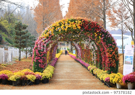 秋景、祭典、巔峰之地 97378182