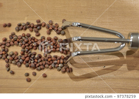 Kitchen garden radish seeds 97378259