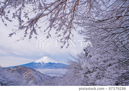 (山梨縣)日本的冬季風景,從白雪皚皚的御坂隘口看到的富士山 (山梨縣)日本的冬季風景,從白雪皚皚的御坂隘口看到的富士山 97379286