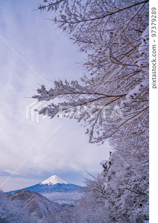 (山梨縣)日本的冬季風景,從白雪皚皚的御坂隘口看到的富士山 (山梨縣)日本的冬季風景,從白雪皚皚的御坂隘口看到的富士山 97379289